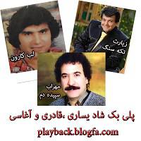 پلی بک شاد