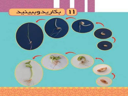 1546011057 2943 - پاورپوینت آموزش علوم تجربی پایه سوم ابتدایی درس یازدهم (بکارید و ببینید)