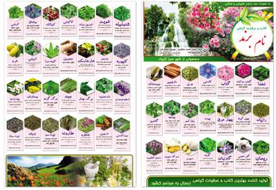 1546052986 2413 - طرح لایه باز بروشور عرقیات گیاهی پشت ورو به صورت عمودی