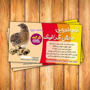 1550289676 2413 - دانلود فایل آماده چاپ فروش تخم بلدرچین ، برچسب تخم بلدرچین
