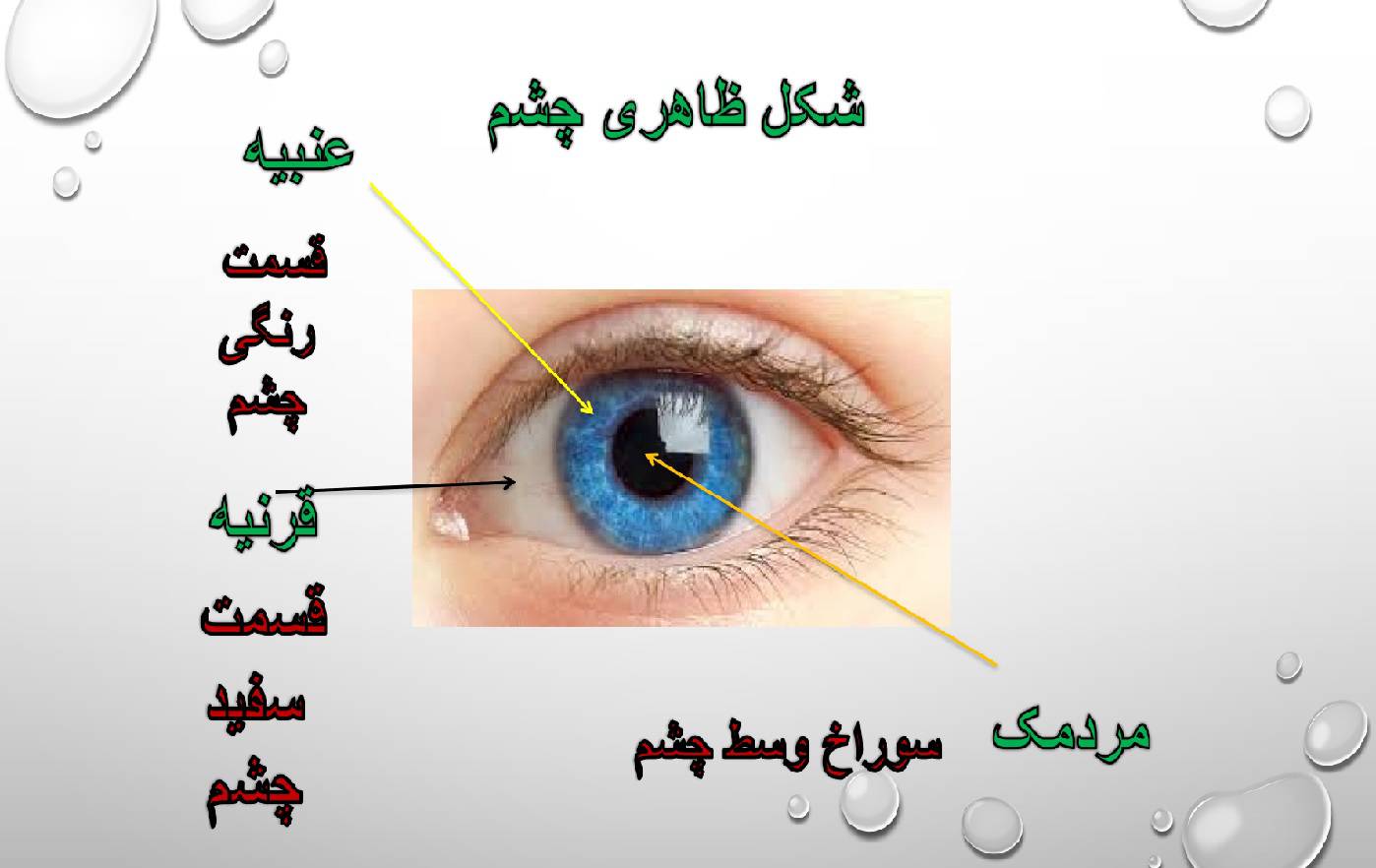 1561294656 2516 - پاورپوینت چه خبر 1 و چه خبر 2