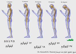 1561568917 5739 - مقاله با موضوع ارگونومی