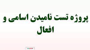 1563040724 5739 - تست ناميدن اسامي و افعال