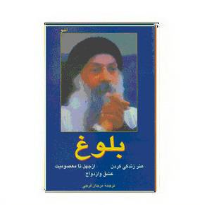 1564946049 7085 - دانلود کتاب بلوغ