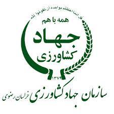 تحقیق بخش کشاورزی خراسان : چهار سال بعد از ادغام 1566517244 4862 - تحقیق بخش کشاورزی خراسان : چهار سال بعد از ادغام