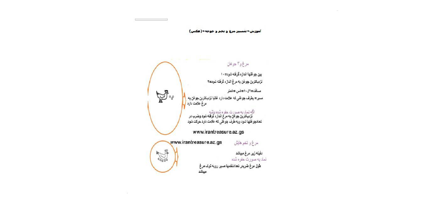 1566581430 4212 - نشانه هاي حيوانات در گنج یابی