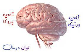 1567700277 4862 - مقاله آفازی(آنومی)