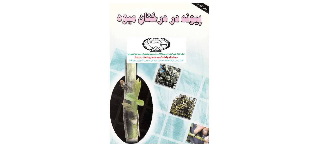 1568793977 4212 - پیوند در درختان میوه