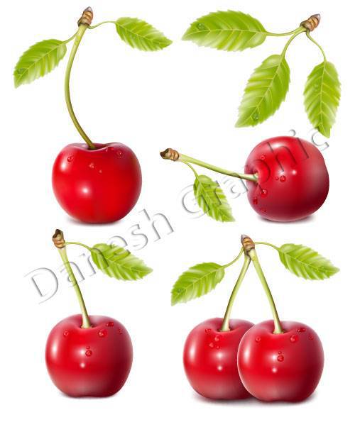 1572418092 2413 - طرح وکتور گیلاس (با فرمت Eps)