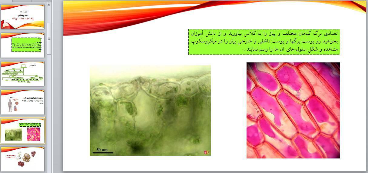پاورپوینت فصل یازدهم علوم تجربی هفتم 1572542568 4449 - پاورپوینت فصل یازدهم علوم تجربی هفتم