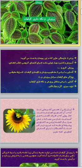 پاورپوینت پودمان پرورش و نگه داری گیاهان کار و فنآوری هفتم 1572886333 4449 - پاورپوینت پودمان پرورش و نگه داری گیاهان کار و فنآوری هفتم