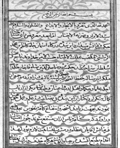 1573204663 4212 - حفظ الصحه ناصری