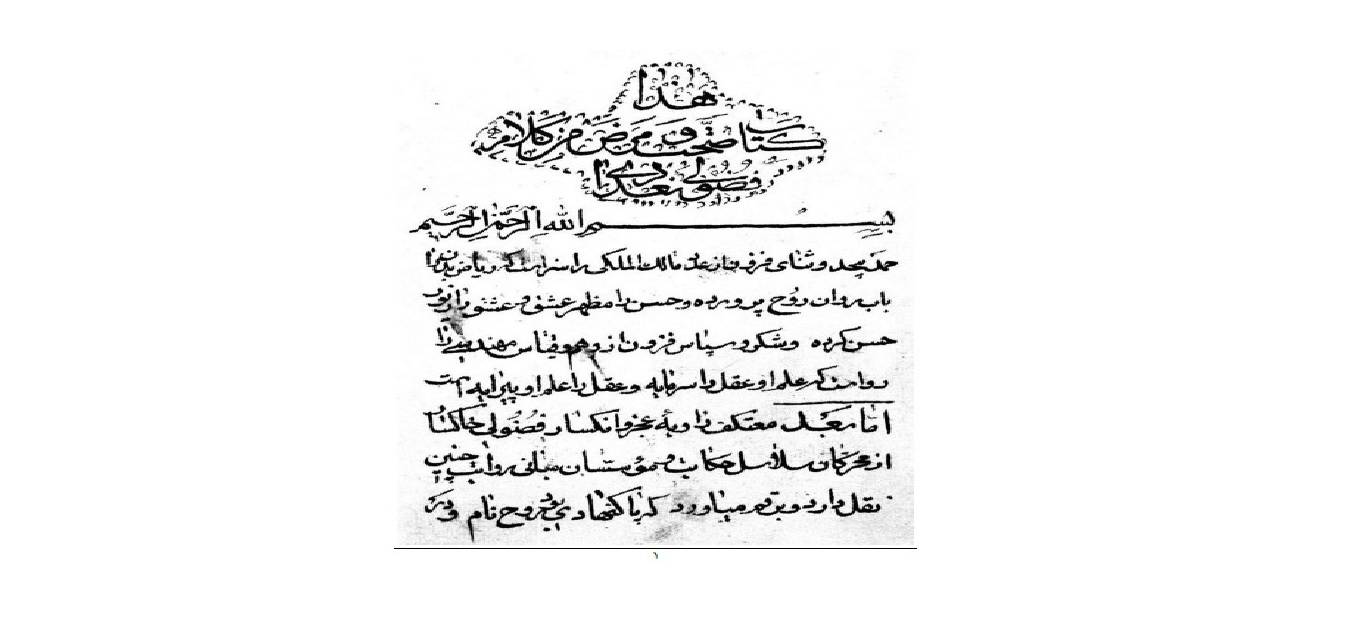 1573233891 4212 - صحت و مرض