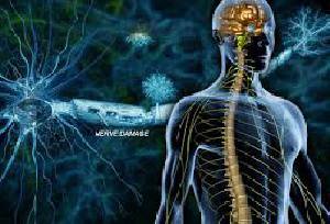 طرح جابر در مورد دستگاه عصبی کامل وجامع 1580979811 8859 - طرح جابر در مورد دستگاه عصبی کامل وجامع