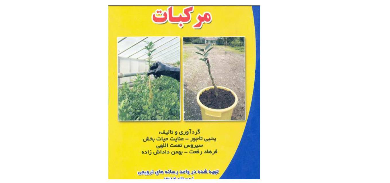1581417365 4212 - کشت و پرورش مرکبات