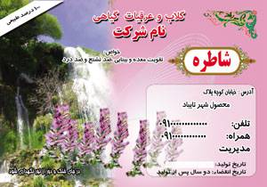 1581504184 7162 - طرح لایه بازلیبل شاطره (2)
