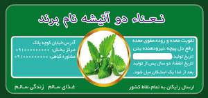 1581532935 7162 - طرح لایه بازلیبل نعنادوآتیشه (27)