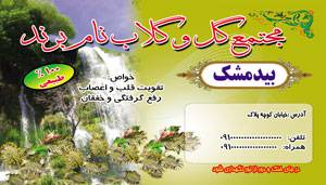 1581565297 7162 - طرح لایه بازلیبل بیدمشک(38)