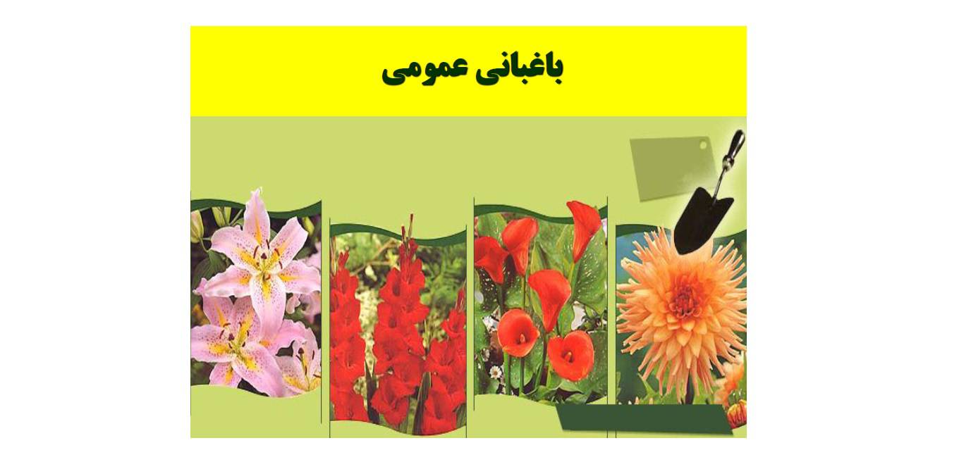 1581674859 4212 - باغبانی عمومی