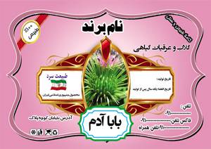 1582608762 7162 - طرح لایه بازلیبل باباآدم(305)