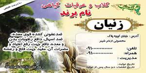 1582953681 7162 - طرح لایه بازلیبل زنیان(523)
