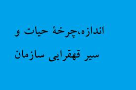 پاورپوینت فصل پنجم تئوری وطراحی سازمان اندازه،چرخۀ حيات و سير قهقرايي سازمان