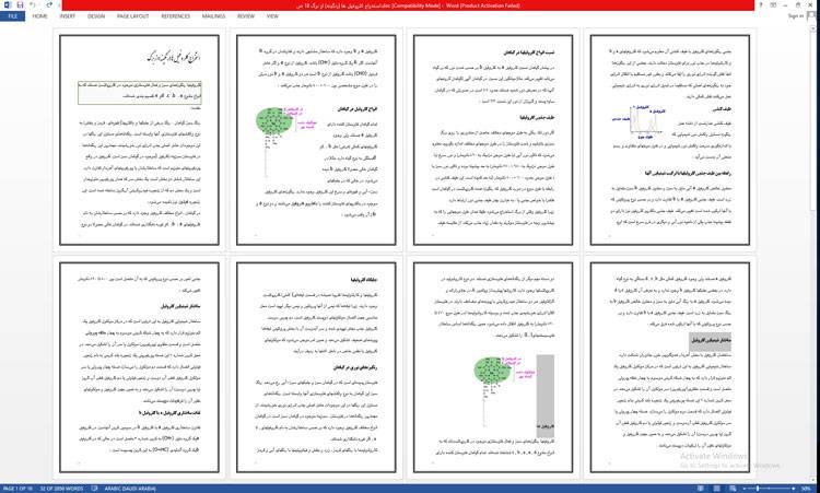 1596611174 8524 - تحقیق استخراج کلروفیل ها (رنگینه) از برگ