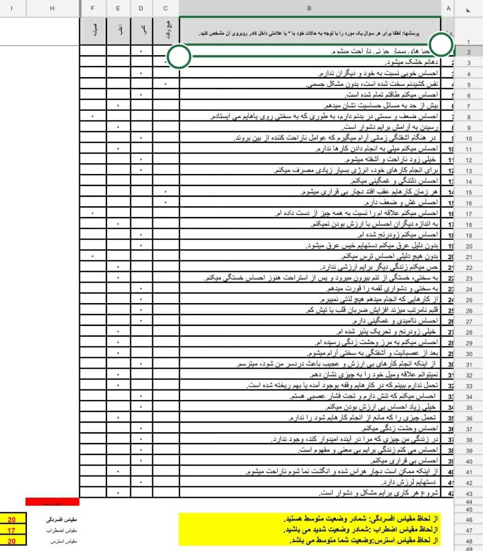 1607280139 8314 - فایل اکسل مقیاس افسردگی و اضطراب واسترس DASS