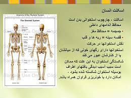 پاورپوینت پرستاری در شکستگی ها
