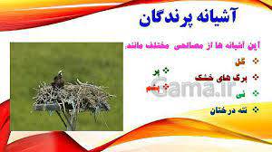 پاورپوینت آشنایی دانش آموزان با آشیانه پرنده ها