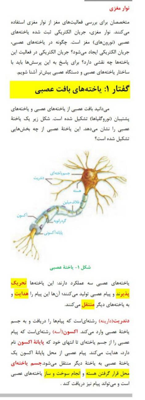 جزوه زیست یازدهم