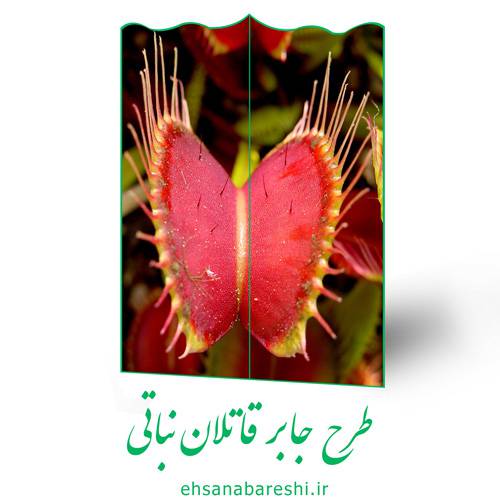 طرح جابر قاتلان نباتی