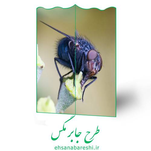 طرح جابر مگس