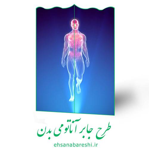 طرح جابر آناتومی بدن