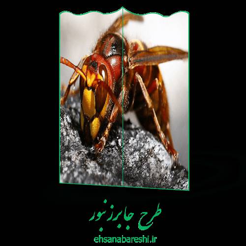 طرح جابر زنبور