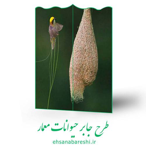 طرح جابر حیوانات معمار