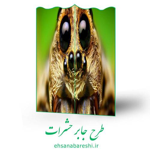 طرح جابر حشرات