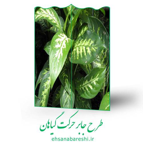 طرح جابر حرکت گیاهان