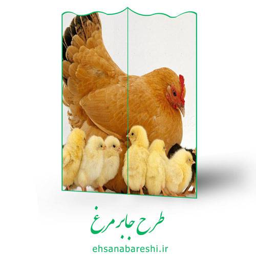 طرح جابر مرغ