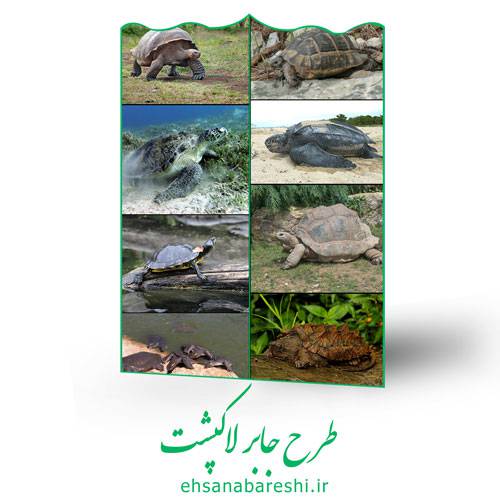 طرح جابر لاکپشت