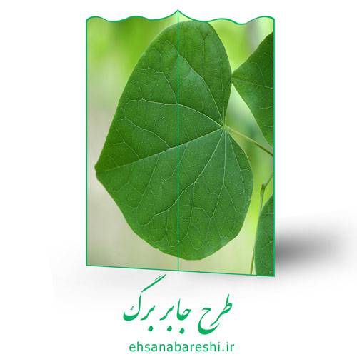 طرح جابر برگ