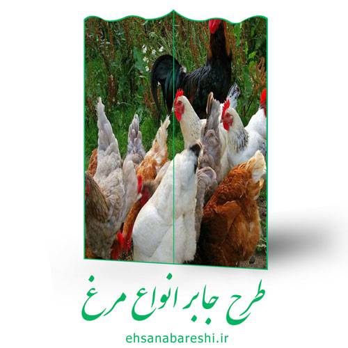طرح جابر انواع مرغ