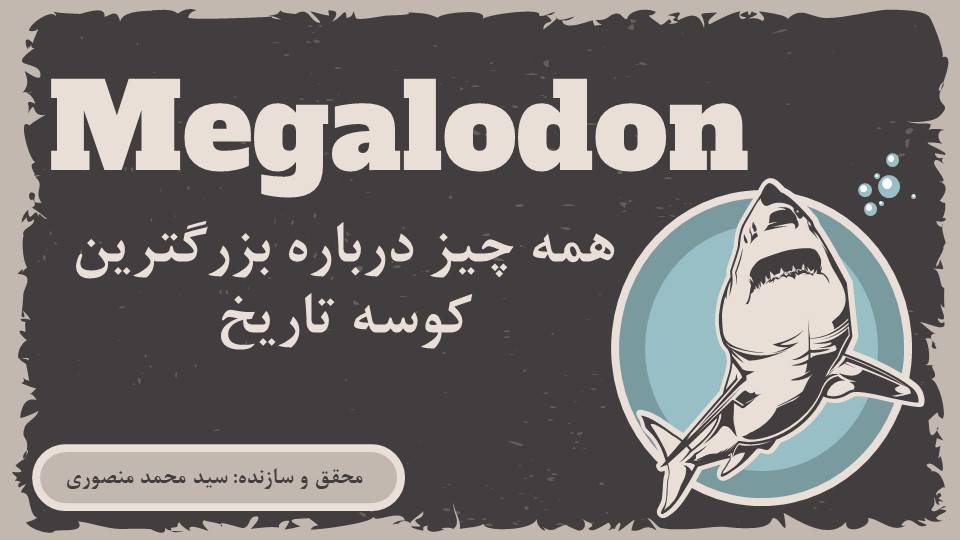 پاورپوینت همه چیز درباره مگالودون