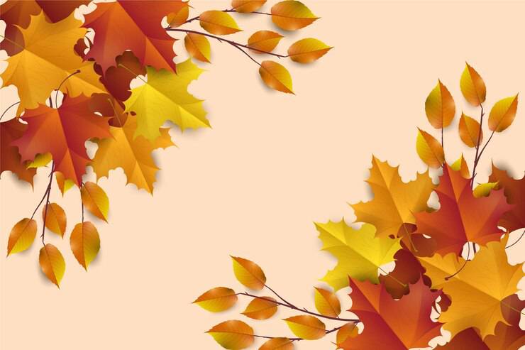 وکتور برگهای خزان پاییزی