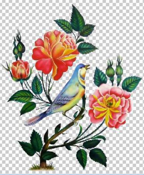  مجموعه لایه باز گل و مرغ فرمت Png با کیفیت بالا به همراه فایل طرح مرغ سنتی