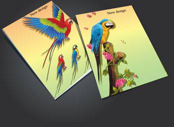 طرح جلد دفتر طوطی لایه باز