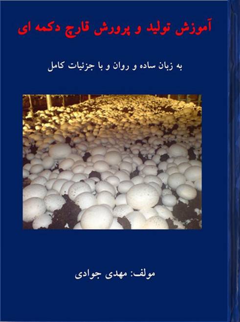 آموزش تولید و پروش قارچ دکمه ای