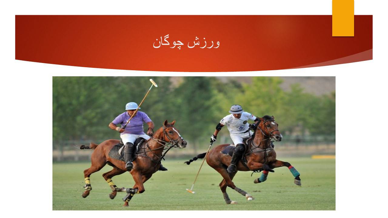 تحقیق در ورزش های باستانی