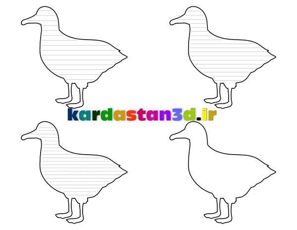 الگوی کاغذهای نوشتاری طرح «مرغ دریائی»