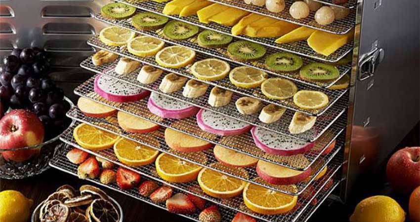 نمونه سوالات تولید خانگی میوه‌های خشک با پاسخ ( جدید )